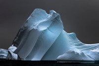 apeacock_antarctica_260103-5653
