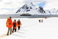 apeacock_antarctica_241214-42269