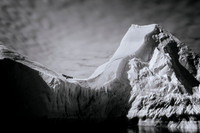 apeacock_antarctica_260213-44096
