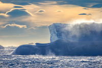 apeacock_antarctica_241214-9367