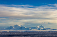 apeacock_antarctica_241214-9312