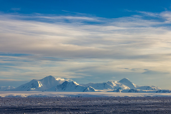 apeacock_antarctica_241214-9312