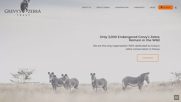 Grevy's Zebra Trust