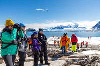 apeacock_antarctica_241215-42407