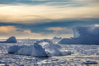 apeacock_antarctica_241214-9375