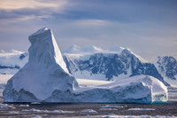 apeacock_antarctica_241214-9429