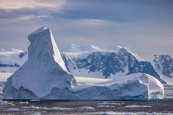 apeacock_antarctica_241214-9429