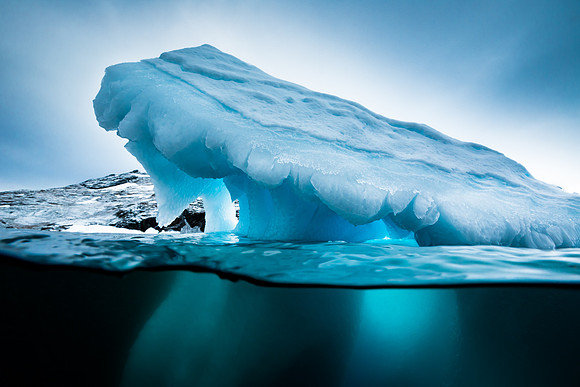 apeacock_antarctica_150301-39480