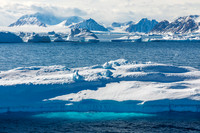apeacock_antarctica_241215-42303