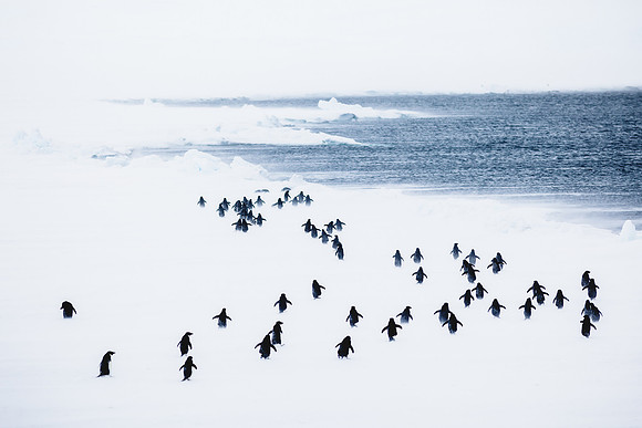 antarctica_ice-landscape_travel-photography_andrew-peacock