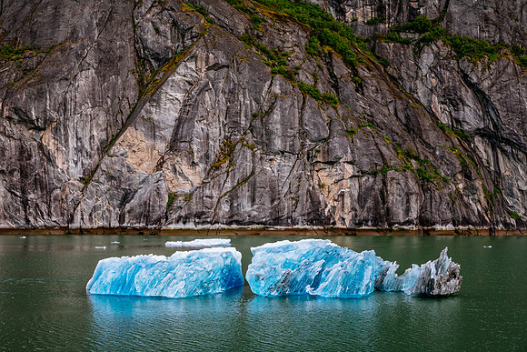 Tracy Arm